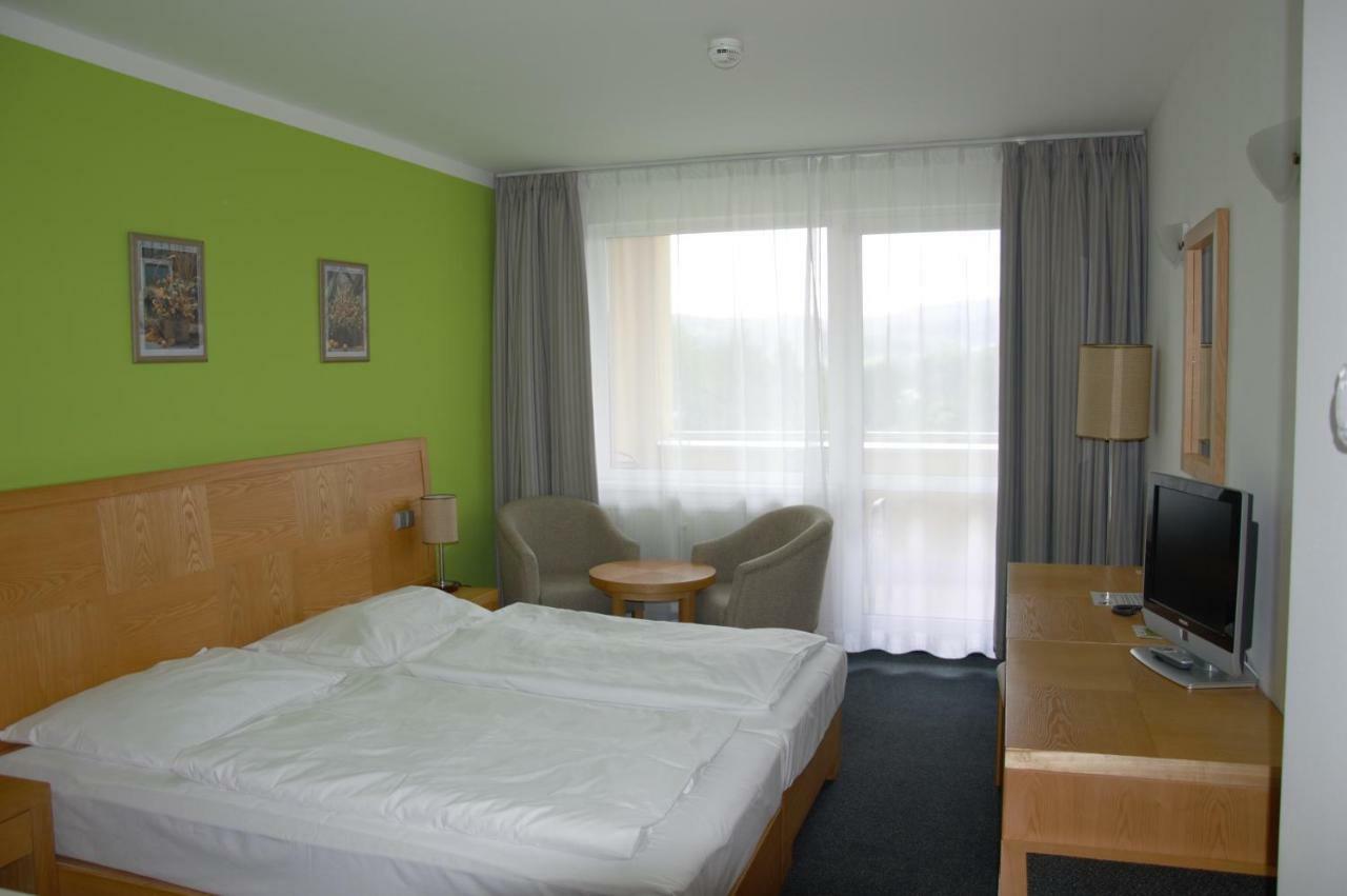Wellness Apartment Frymburk